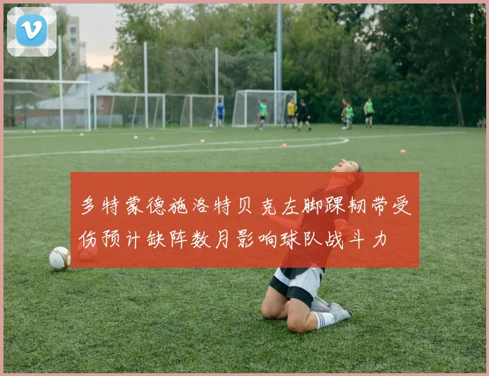 多特蒙德施洛特贝克左脚踝韧带受伤预计缺阵数月影响球队战斗力